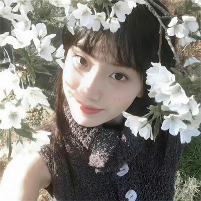 年度鸟事