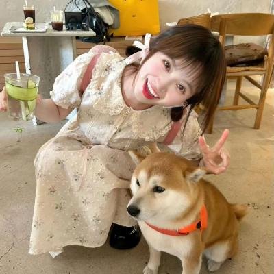 妮娜的一切